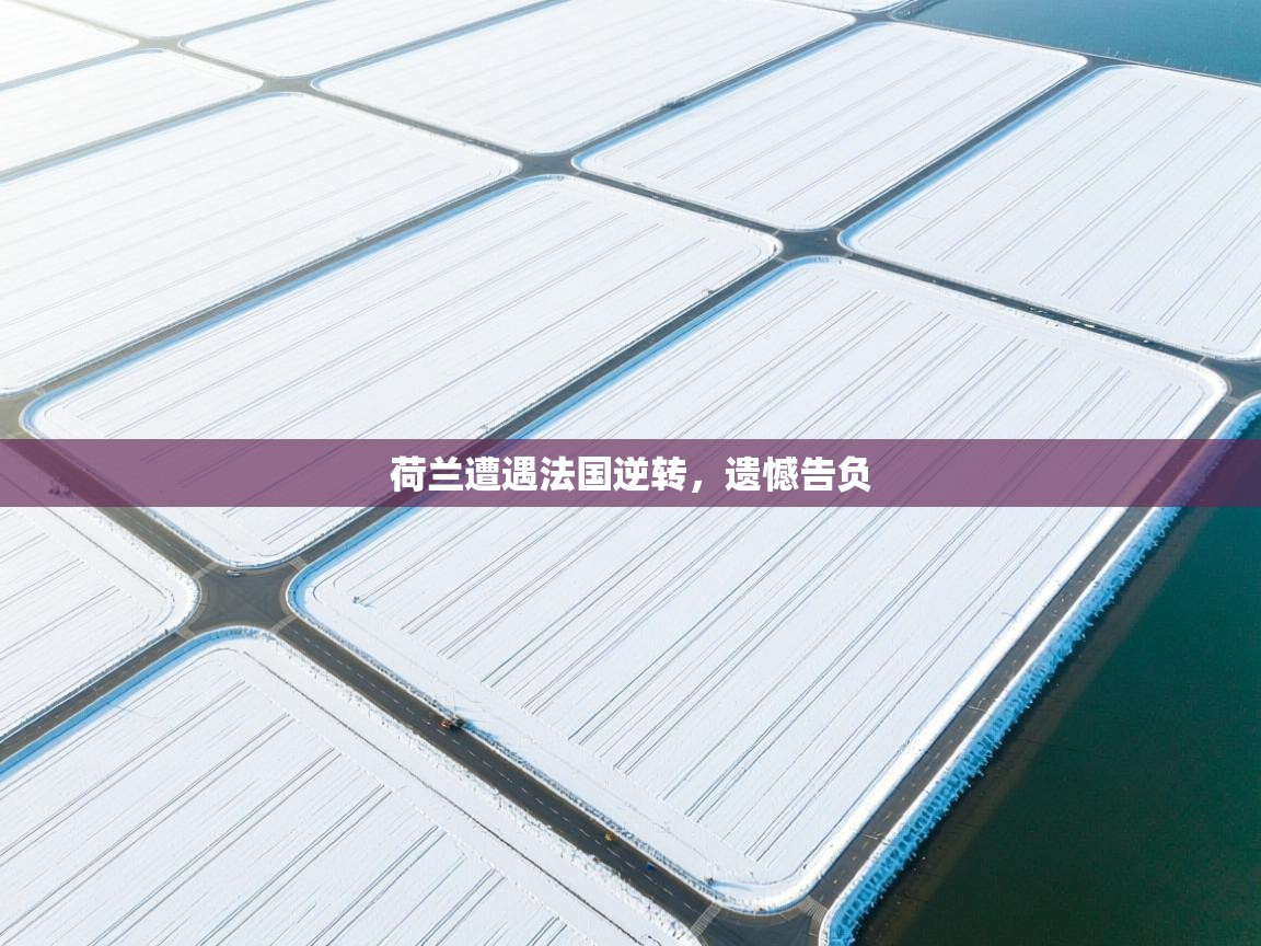 荷兰遭遇法国逆转，遗憾告负  第2张