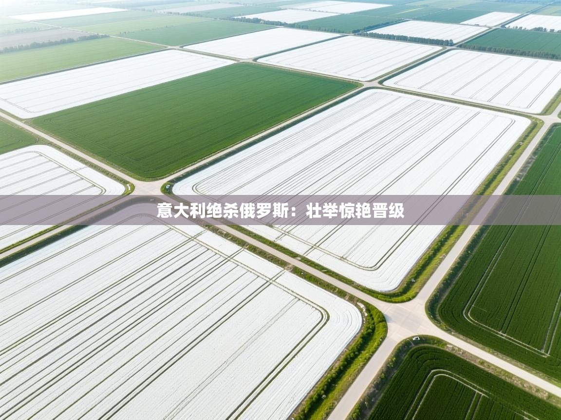 意大利绝杀俄罗斯：壮举惊艳晋级  第2张