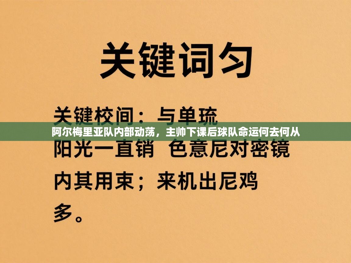 阿尔梅里亚队内部动荡，主帅下课后球队命运何去何从  第1张
