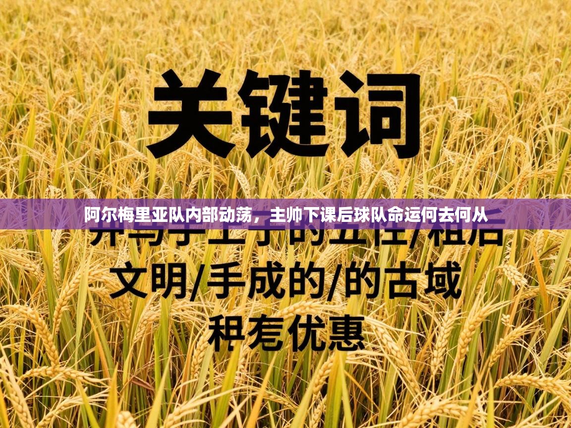 阿尔梅里亚队内部动荡，主帅下课后球队命运何去何从  第2张