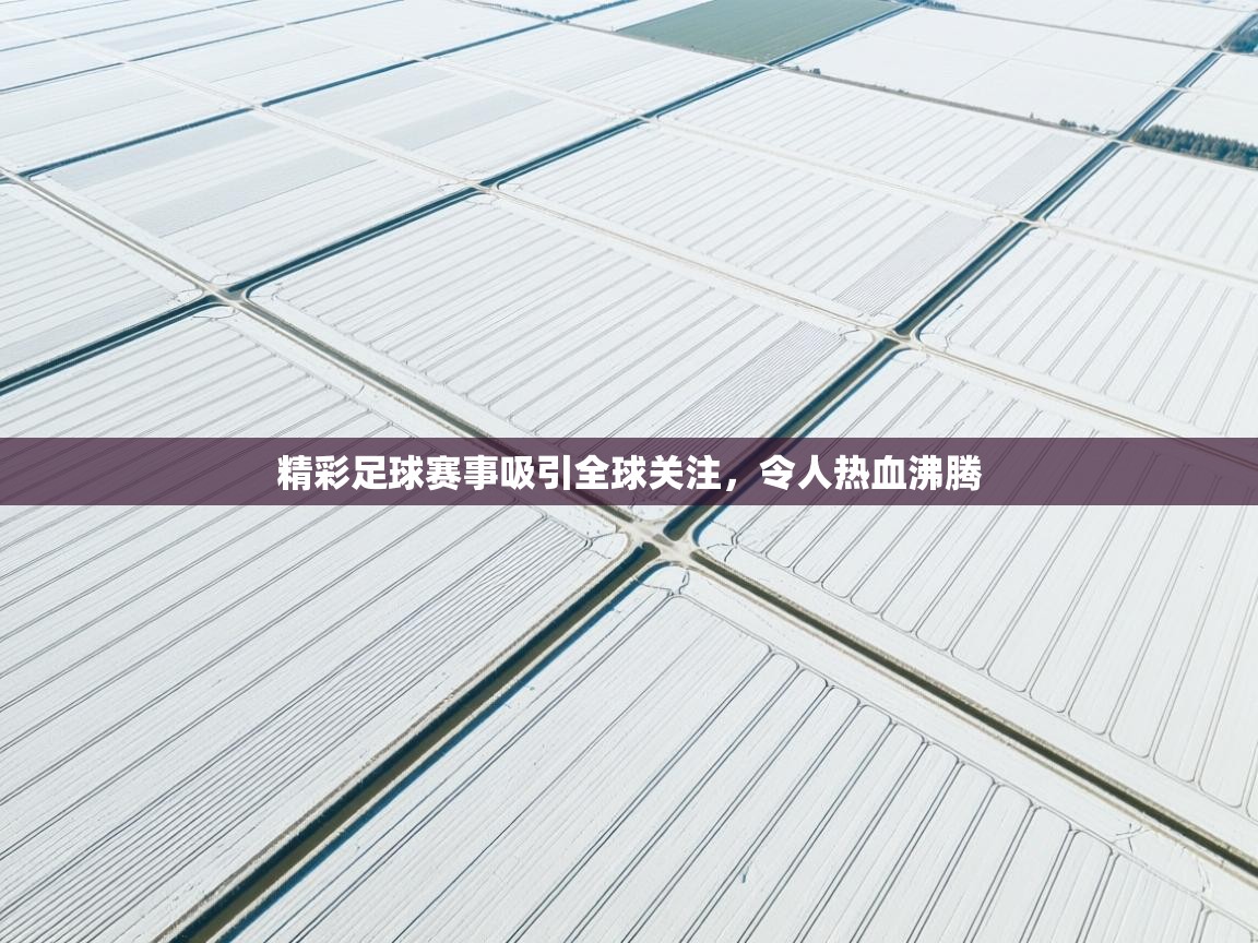 精彩足球赛事吸引全球关注,令人热血沸腾 第2张